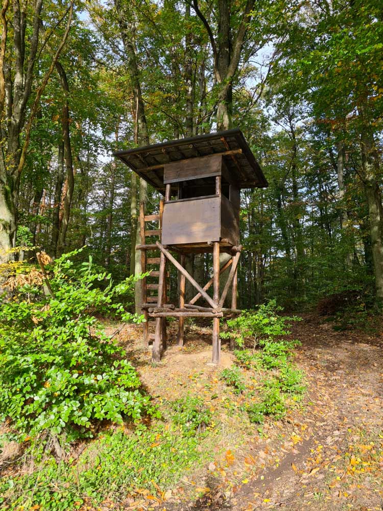 20231101 Saisonabschluss_Sabine-2.jpg