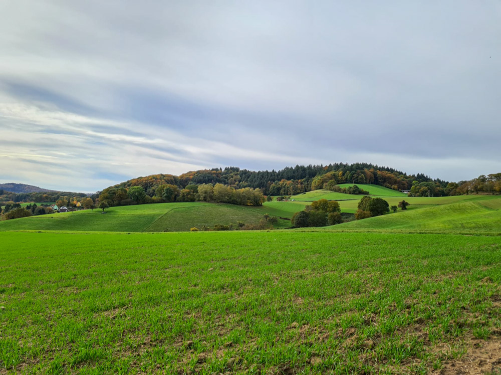 20231101 Saisonabschluss_Sabine-17.jpg