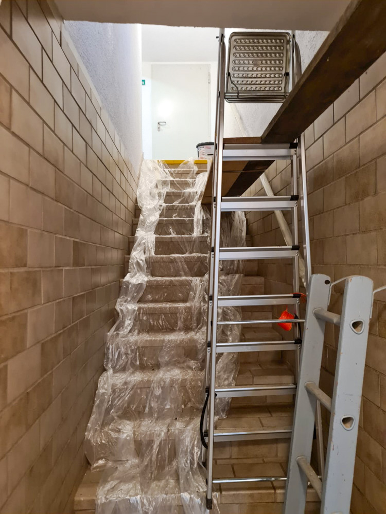 20231111 NF_Arbeitseinsatz_Sabine-6.jpg