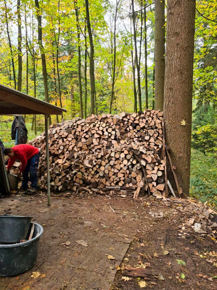 20231111 NF_Arbeitseinsatz_Sabine-14.jpg