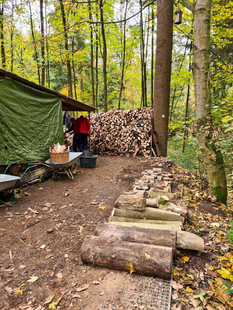 20231111 NF_Arbeitseinsatz_Sabine-33.jpg