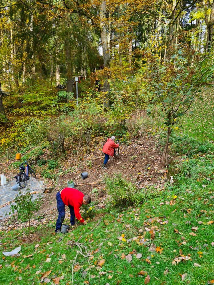 20231111 NF_Arbeitseinsatz_Sabine-56.jpg
