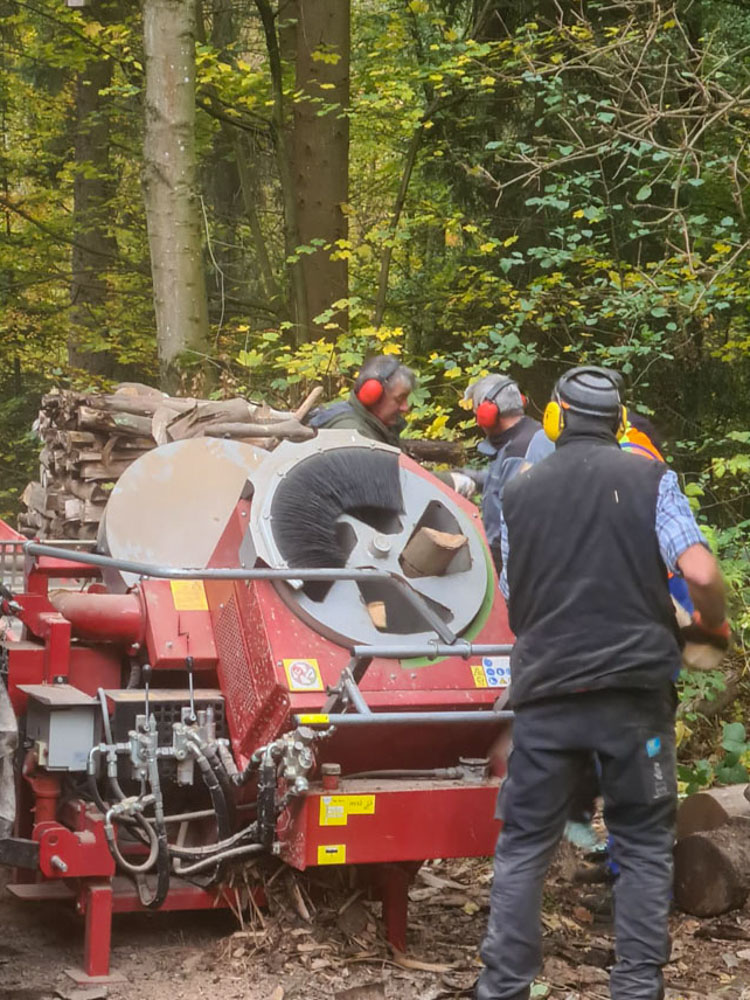 20231111 NF_Arbeitseinsatz_Sabine-96.jpg