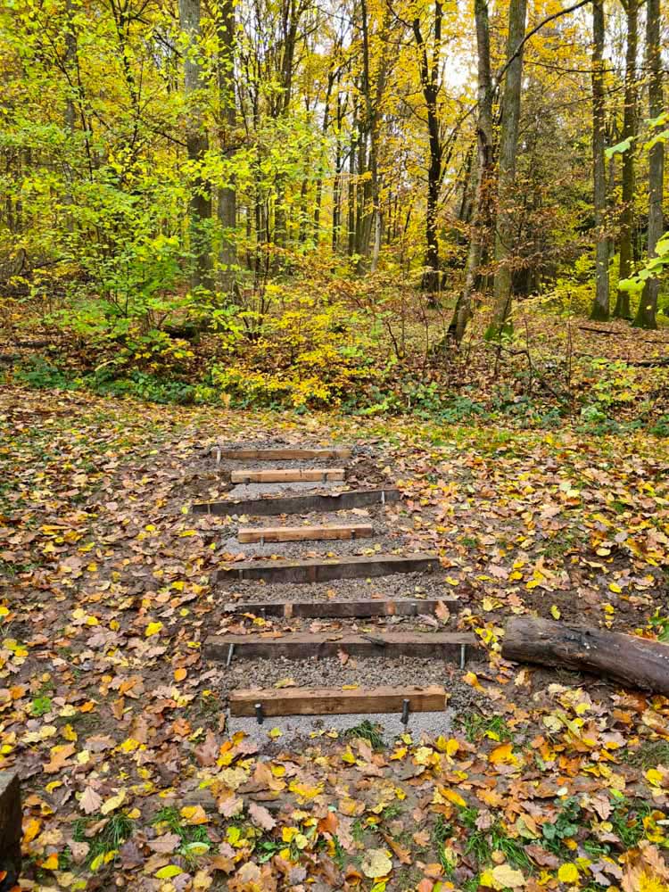 20231111 NF_Arbeitseinsatz_Sabine-143.jpg