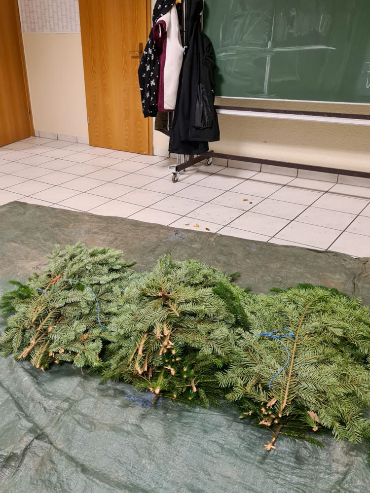 20231124 Plätzchen backen - Kranz binden_Sabine-13.jpg