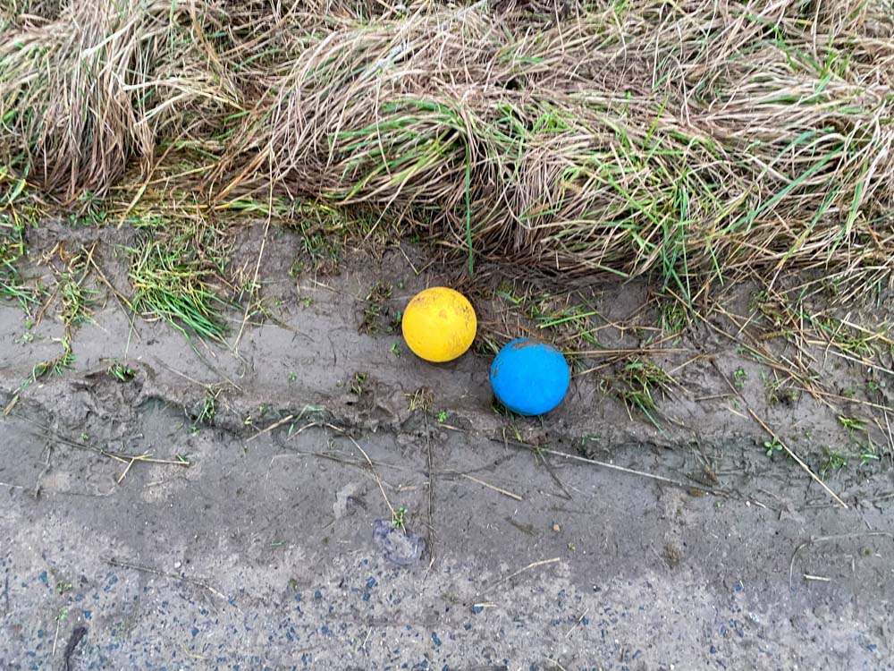 20240106 NF_Boßeln-19.jpg