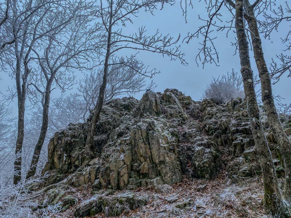 20240113 NF_Donnersberg-Wanderung-2-2.jpg