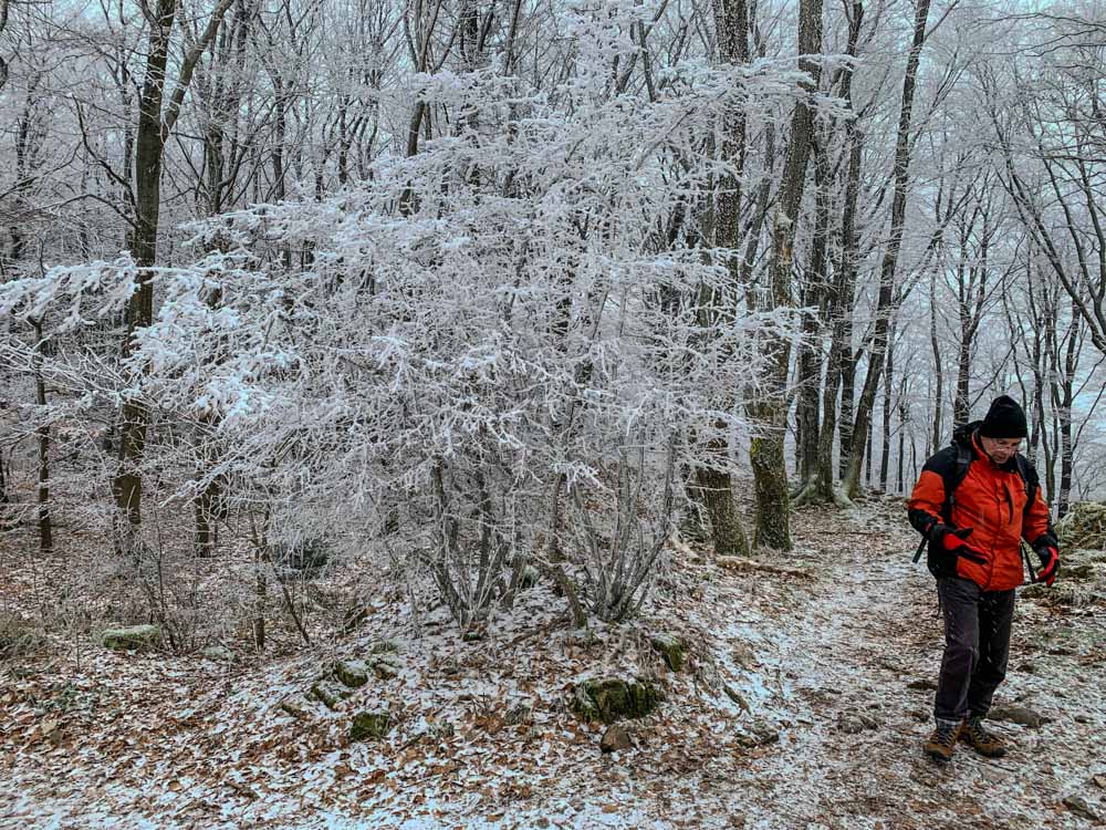 20240113 NF_Donnersberg-Wanderung-6.jpg