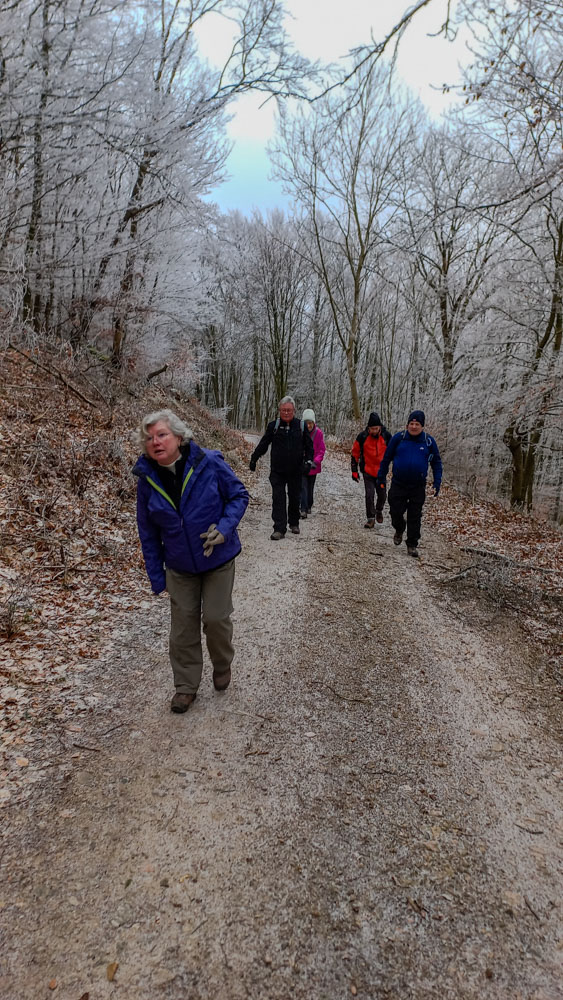 20240113 NF_Donnersberg-Wanderung.jpg