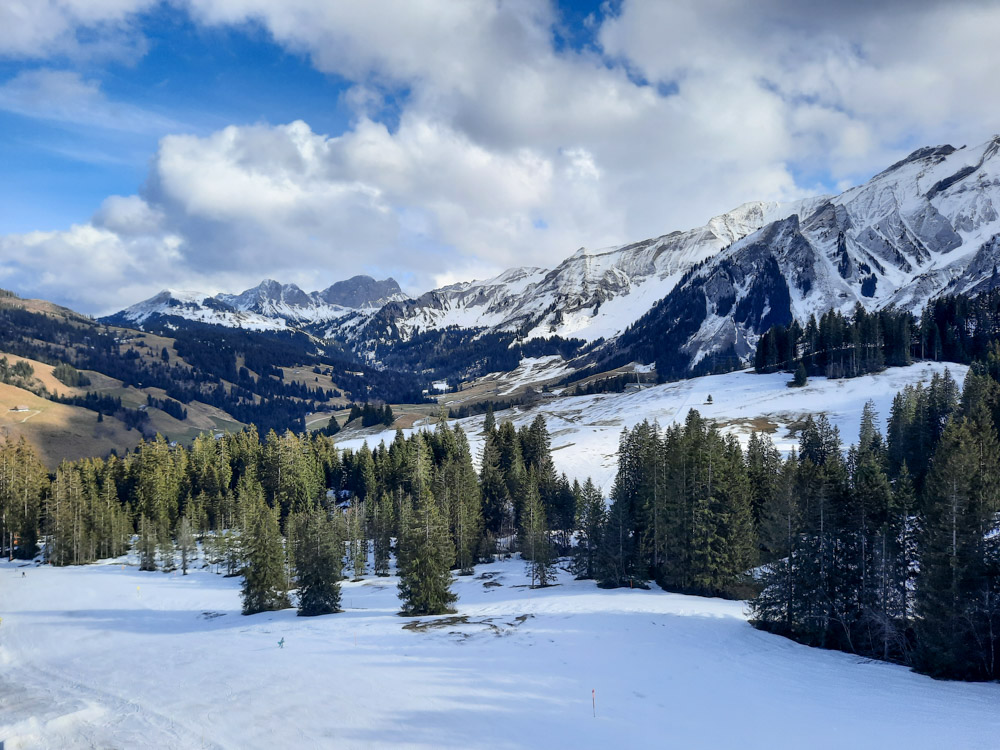 20240210 NF_Ski Freizeit_Anke-34-6.jpg