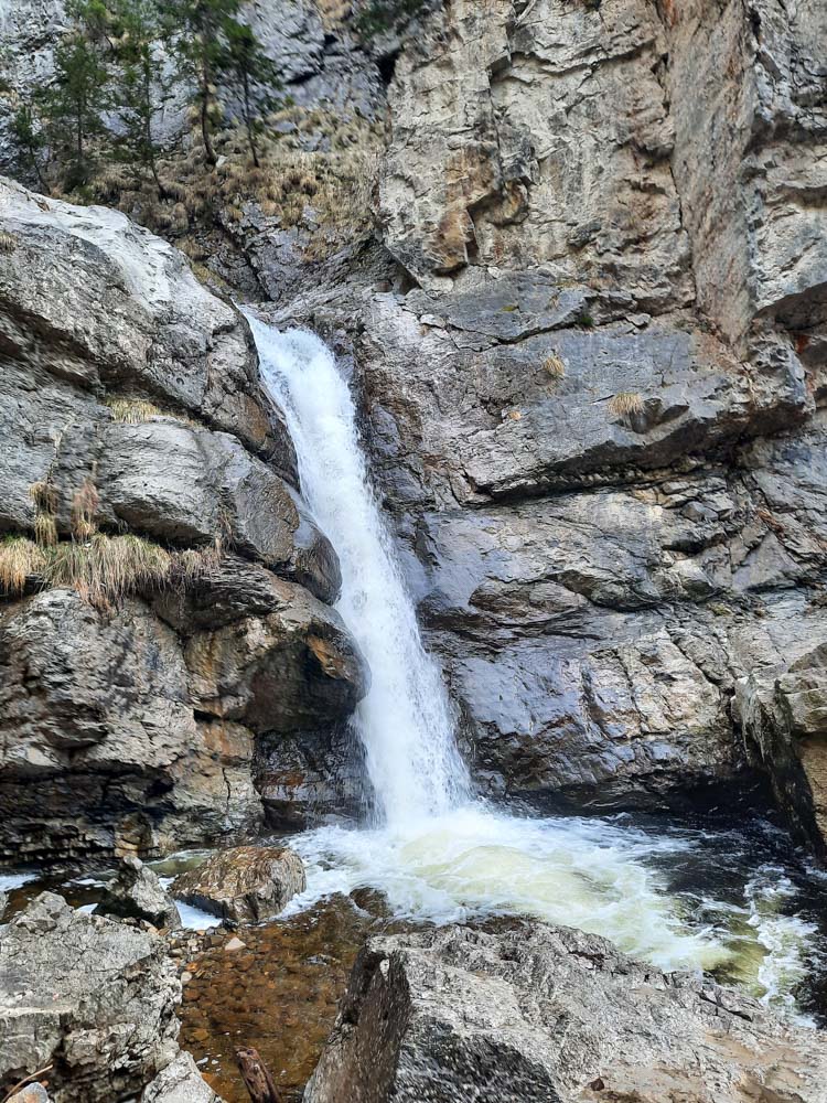 20240210 NF_Ski Freizeit_Anke-34-22.jpg