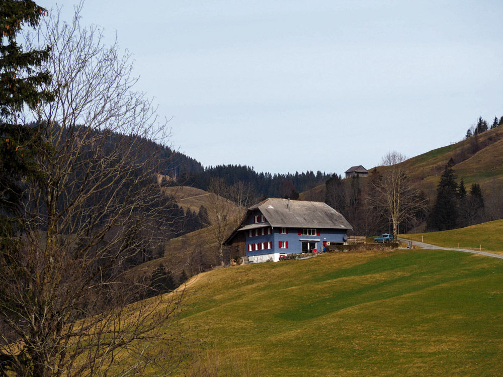 20240210 NF_Ski Freizeit_Imogen-28.jpg