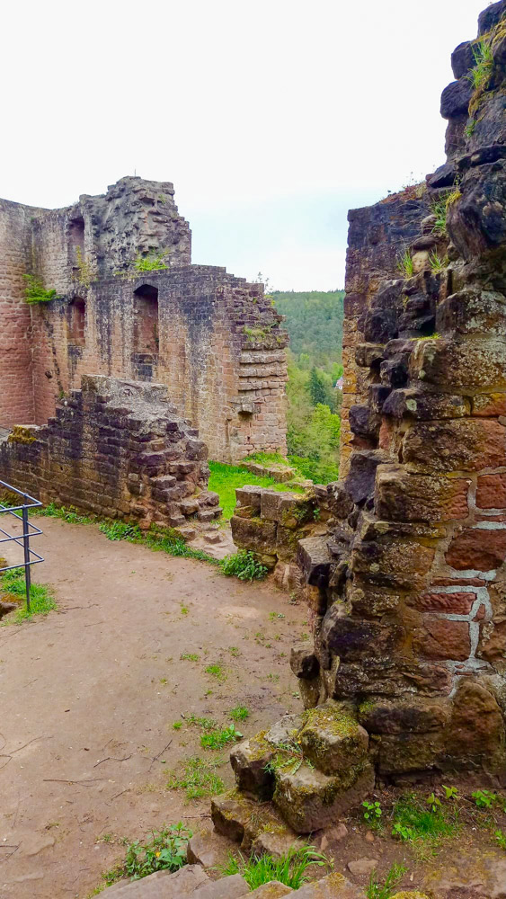 20240428 Rittersteinwanderung_Christel-2.jpg