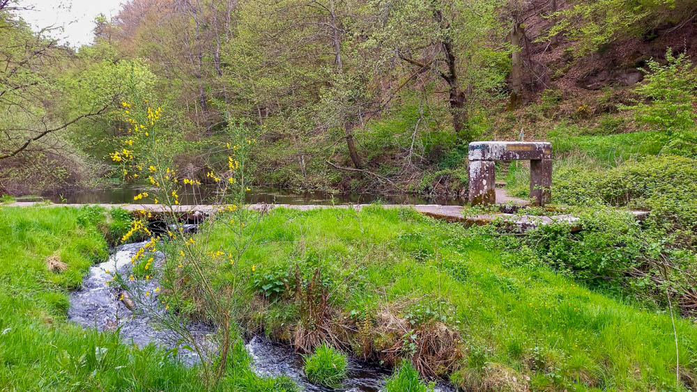 20240428 Rittersteinwanderung_Christel-4.jpg