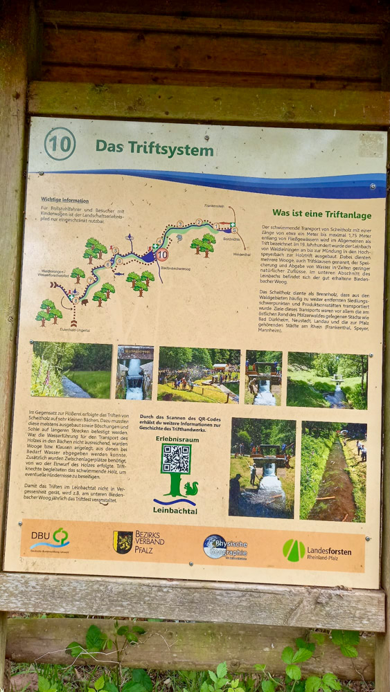 20240428 Rittersteinwanderung_Christel-5.jpg