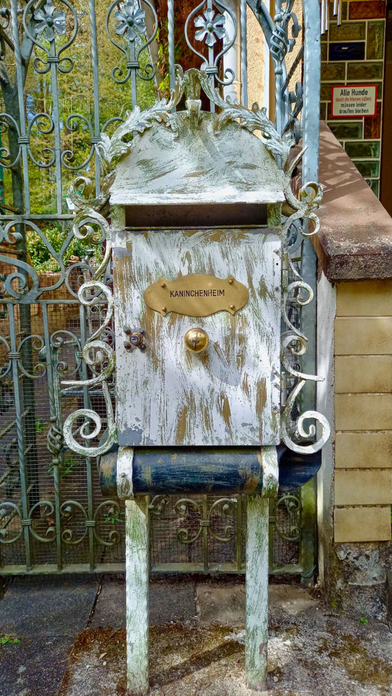 20240428 Rittersteinwanderung_Christel-9.jpg