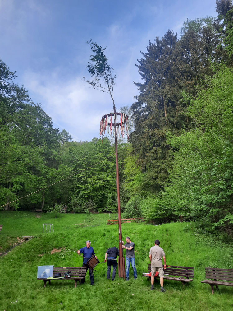 20240501 NF_Maibaum stellen und Maifeier_Anke-12.jpg