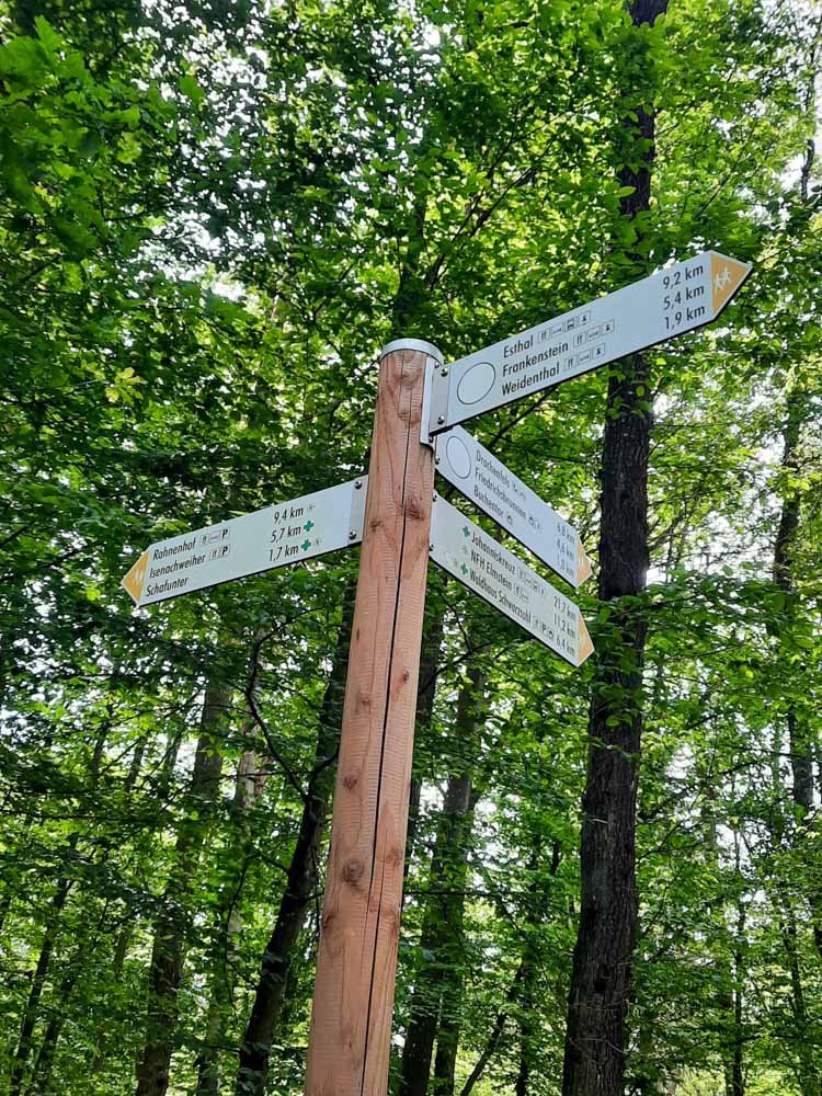 20240526 NF_Drachenfelswanderung_Anke-3.jpg