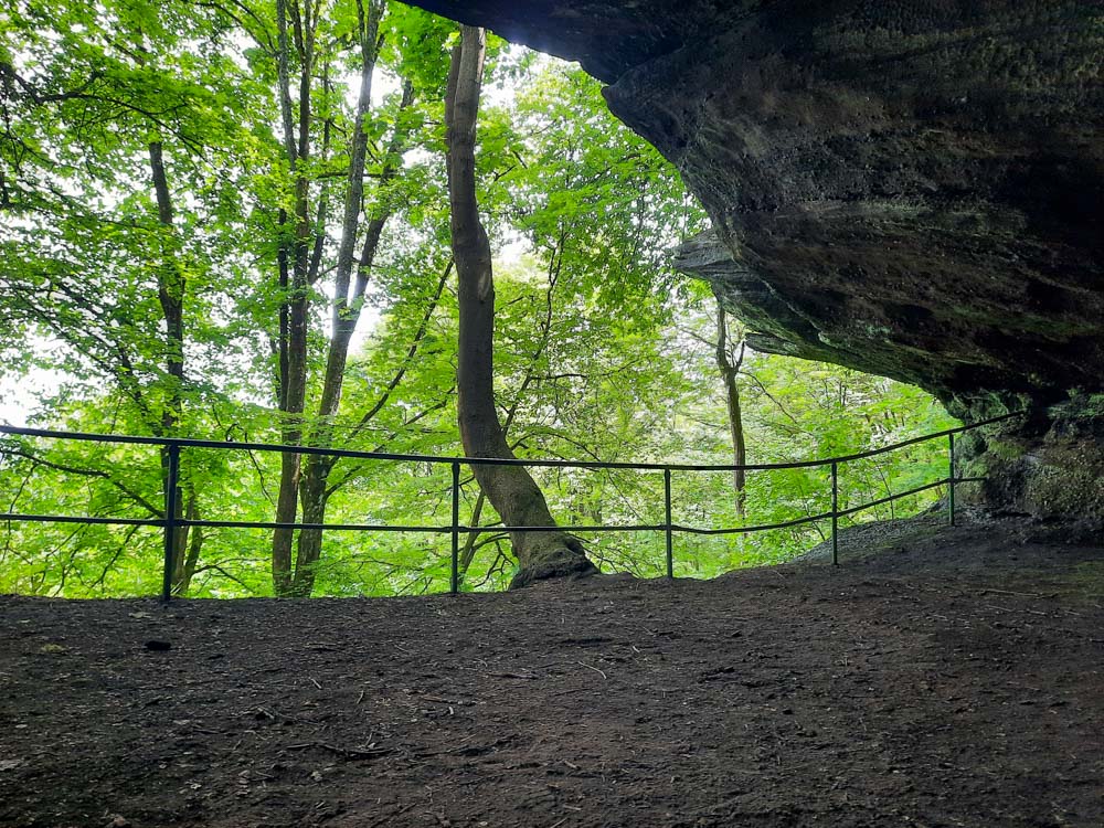 20240526 NF_Drachenfelswanderung_Anke-7.jpg