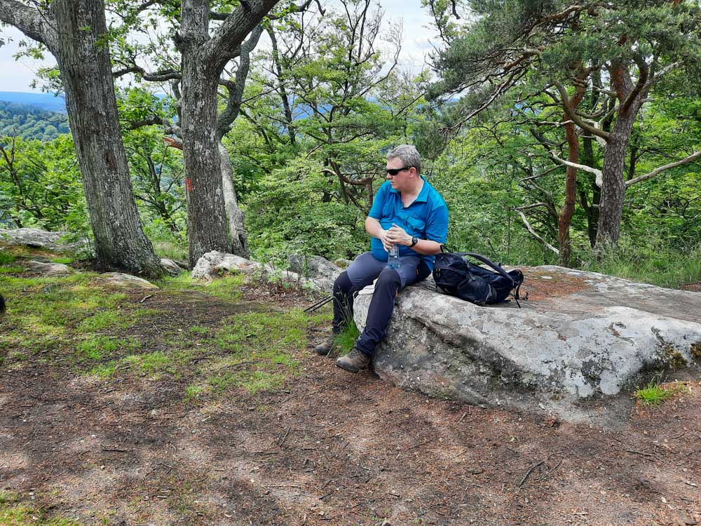 20240526 NF_Drachenfelswanderung_Anke-13.jpg