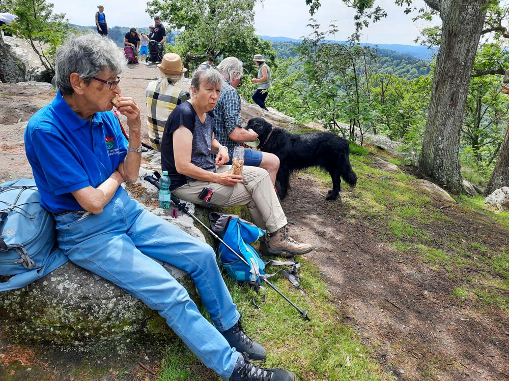 20240526 NF_Drachenfelswanderung_Anke-14.jpg