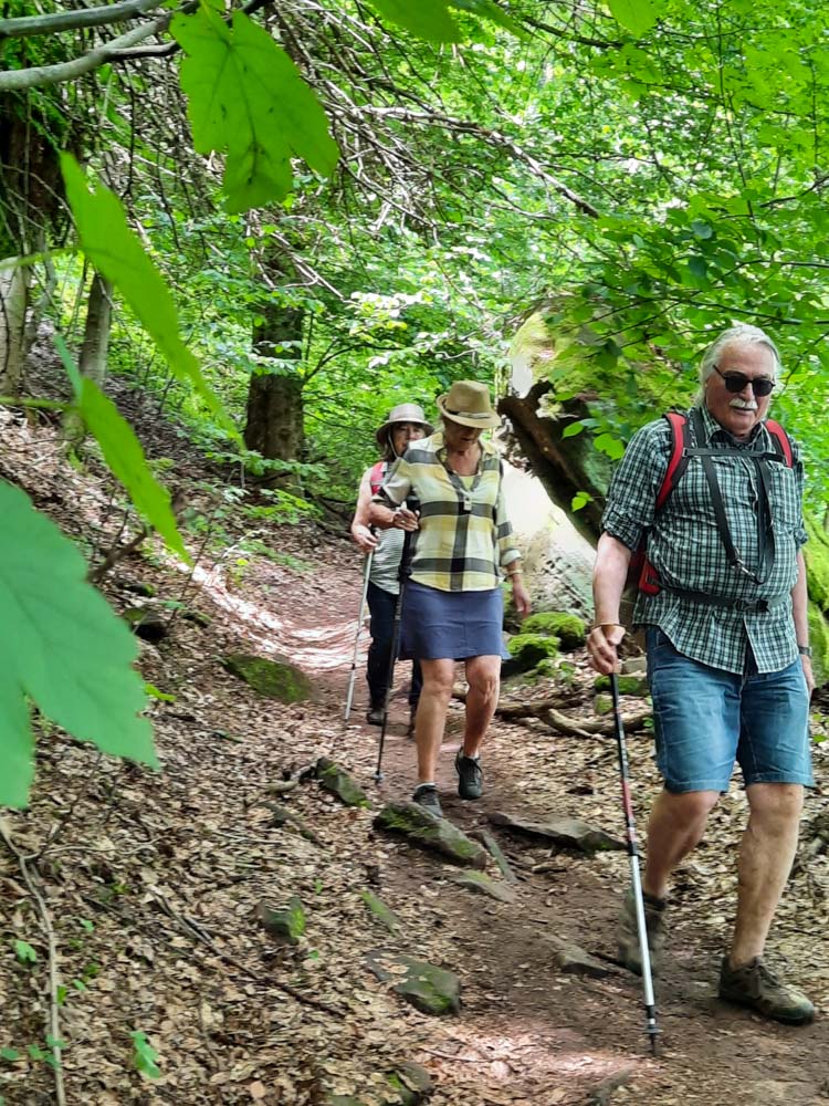 20240526 NF_Drachenfelswanderung_Anke-16.jpg