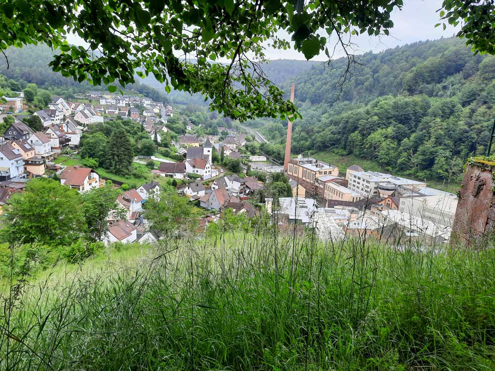 20240526 NF_Drachenfelswanderung_Anke-18.jpg