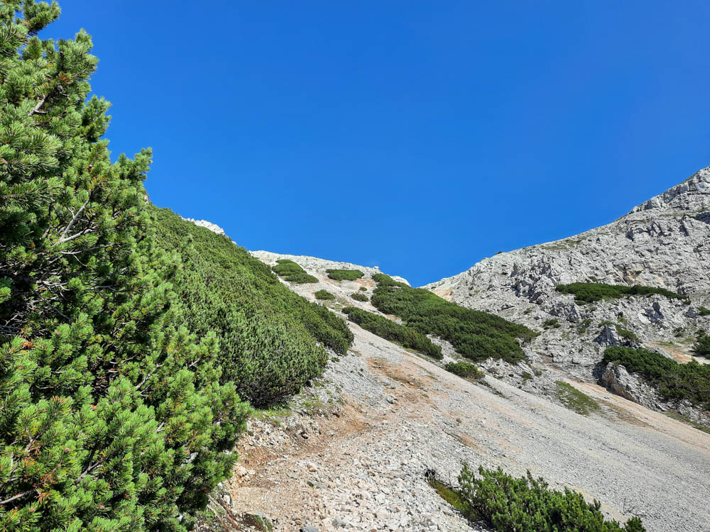 20240801 Karwendel_Anke-13.jpg