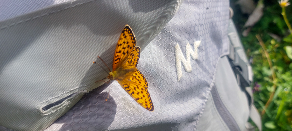 20240801 Karwendel_Anke-36.jpg