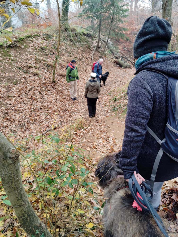 20241208 NF_Adventswanderung ins Blaue_Sabine-7.jpg