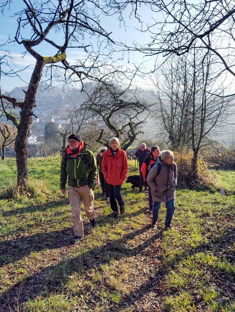 20241208 NF_Adventswanderung ins Blaue_Sabine-10.jpg