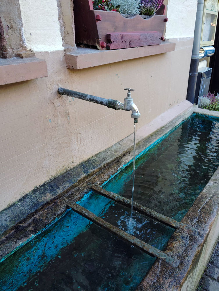 20241208 NF_Adventswanderung ins Blaue_Sabine-14.jpg