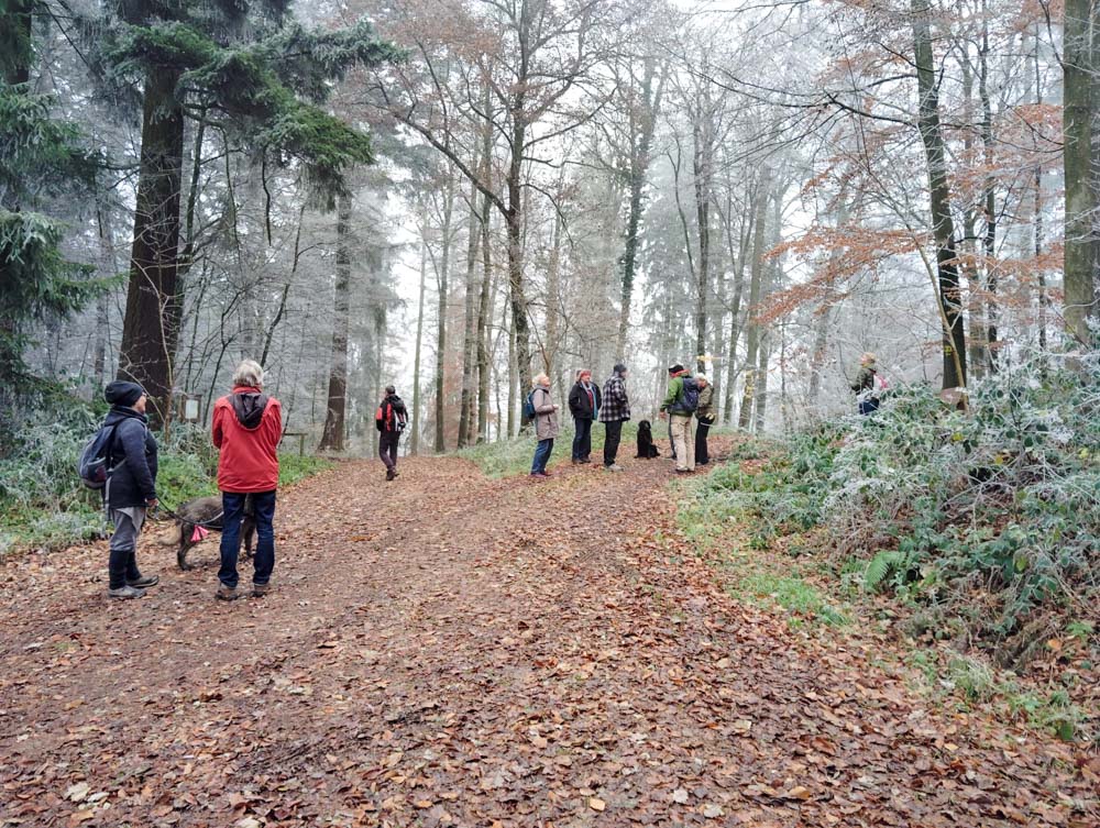 20241208 NF_Adventswanderung ins Blaue_Sabine-17.jpg