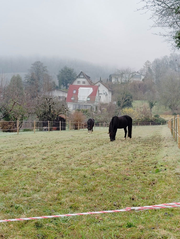 20241208 NF_Adventswanderung ins Blaue_Sabine-20.jpg