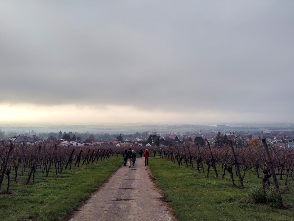 20241208 NF_Adventswanderung ins Blaue_Sabine.jpg