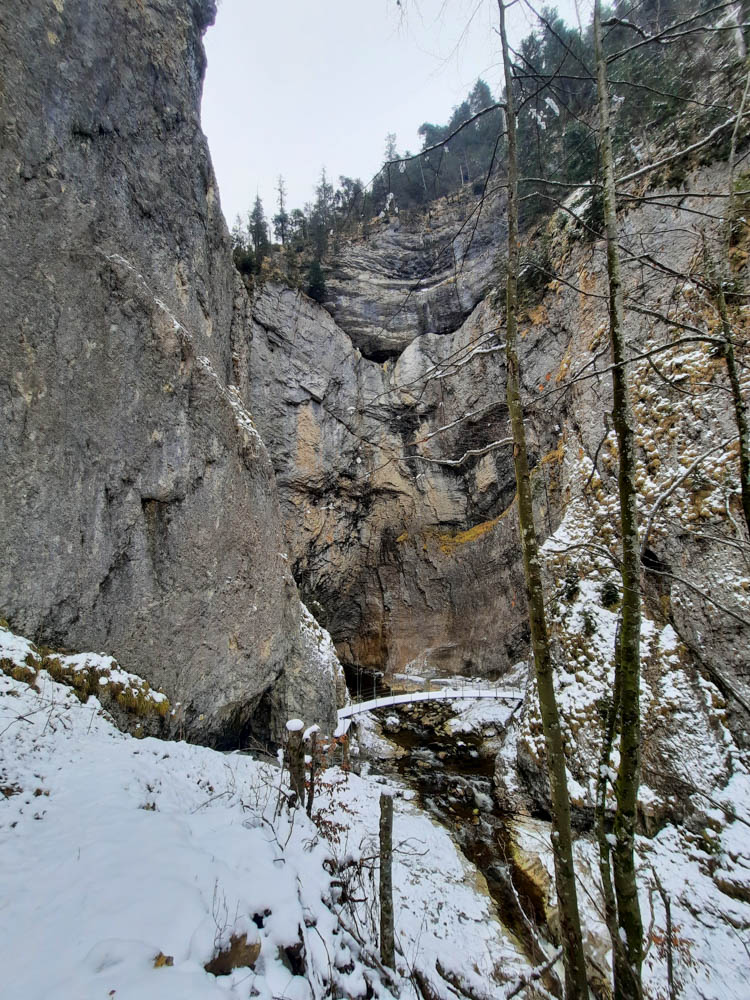 20250302_121727.jpg