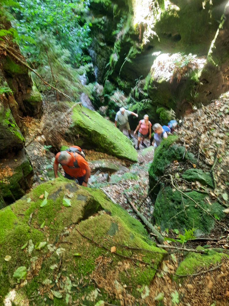 20250806 NF_Sommerfreizeit_Anke-4.jpg