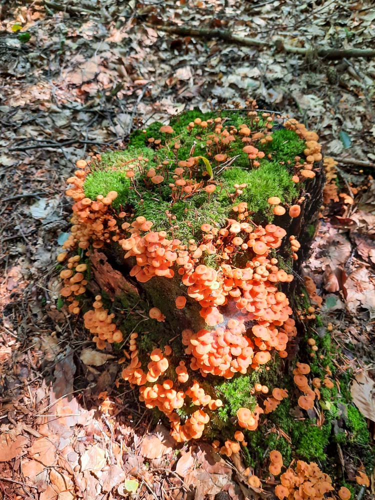 20250806 NF_Sommerfreizeit_Anke-5.jpg