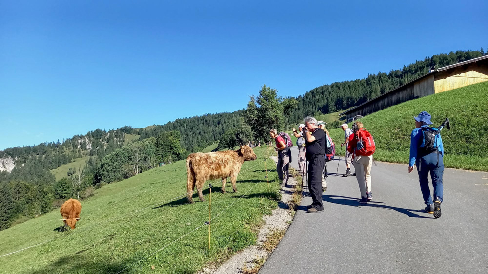 20250830 NF_Wilder Kaiser_Christel - 6.jpg
