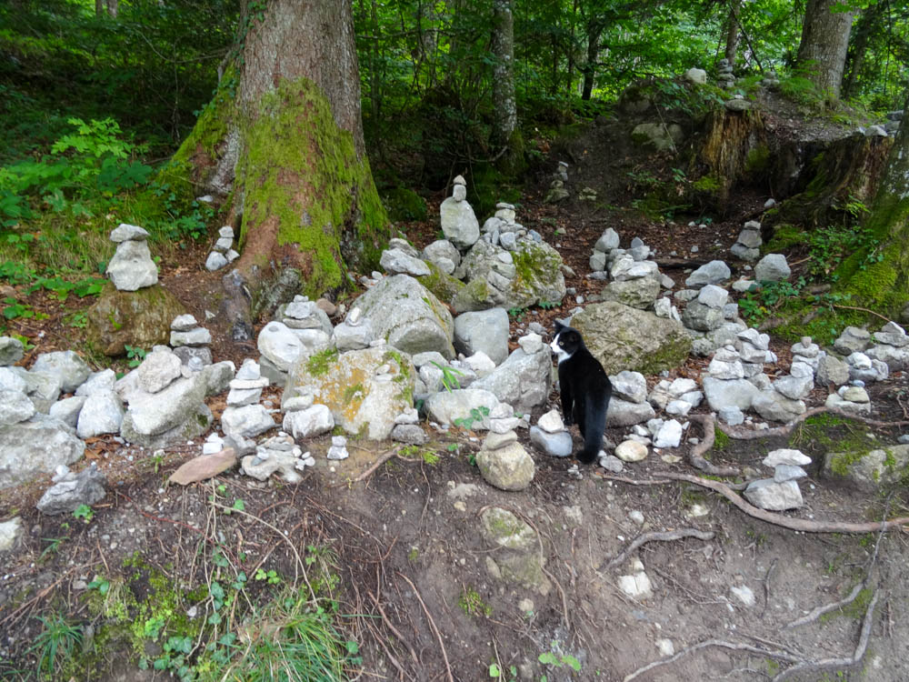 20250830 NF_Wilder Kaiser_Heinz-47.jpg