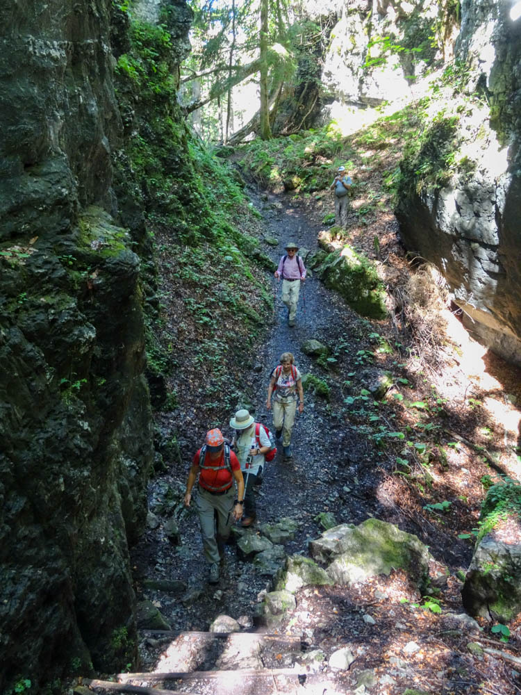 20250830 NF_Wilder Kaiser_Heinz-65.jpg