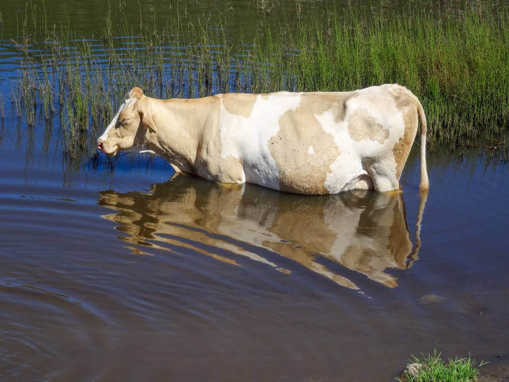 20250830 NF_Wilder Kaiser_Heinz-73.jpg