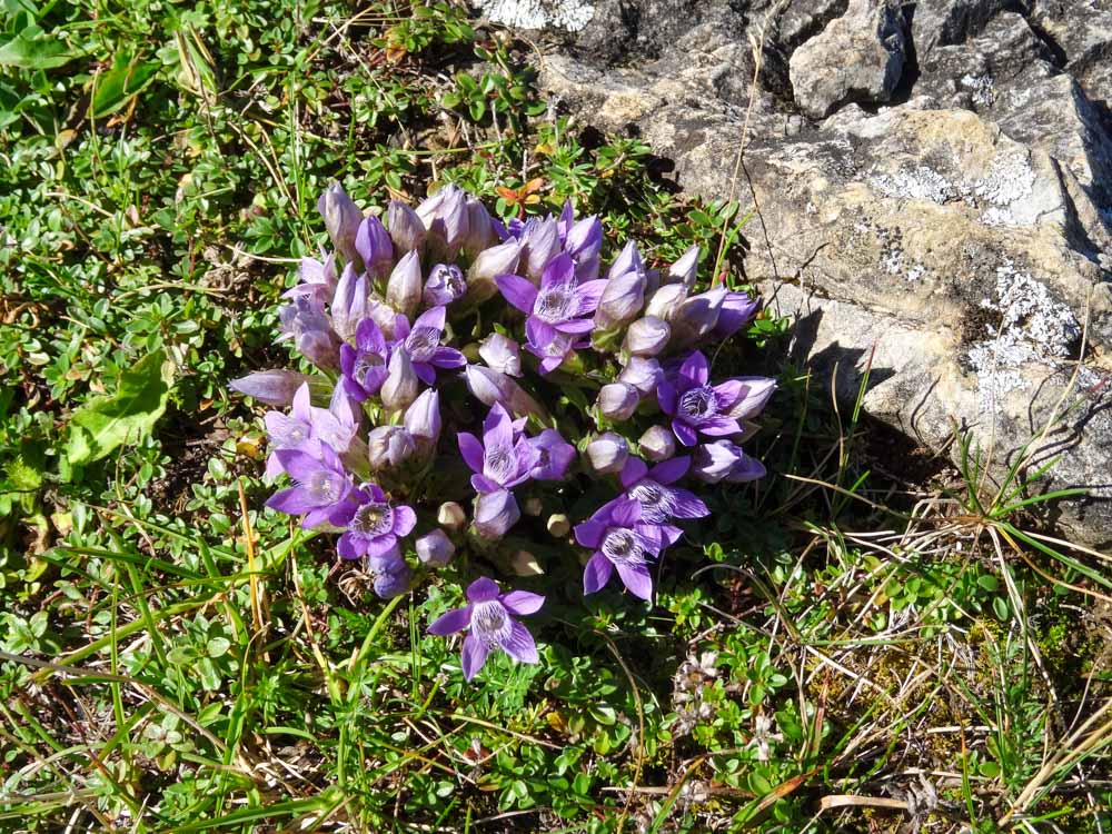 20250830 NF_Wilder Kaiser_Heinz-78.jpg