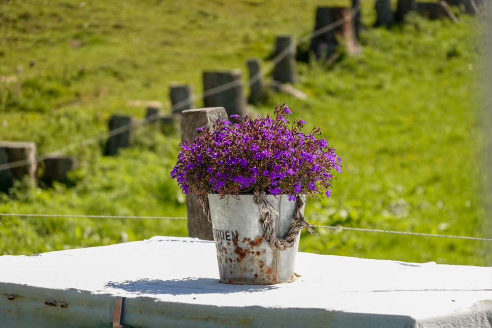 20250830 NF_Wilder Kaiser_Karl-15.jpg