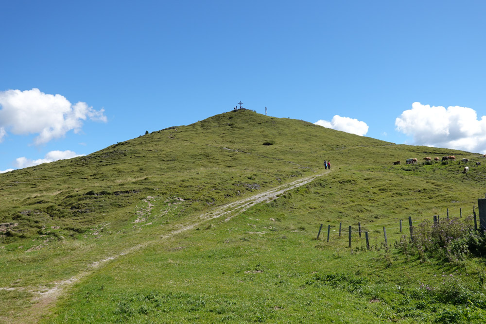 20250830 NF_Wilder Kaiser_Karl-17.jpg