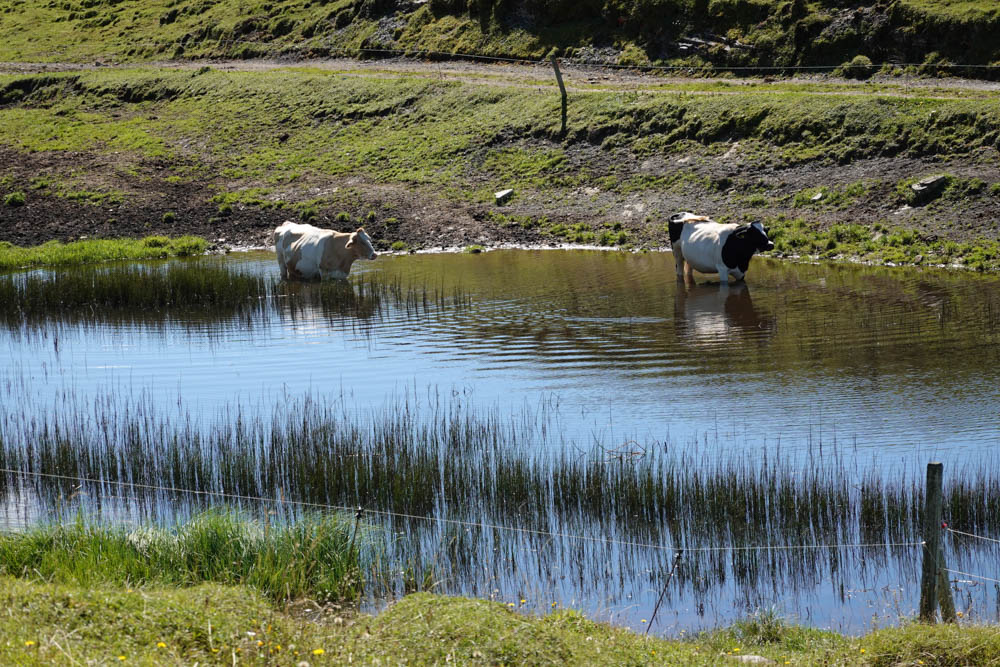 20250830 NF_Wilder Kaiser_Karl-18.jpg