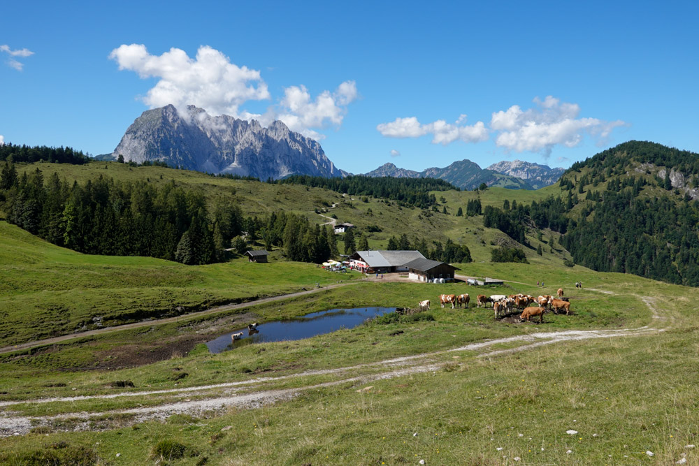 20250830 NF_Wilder Kaiser_Karl-19.jpg