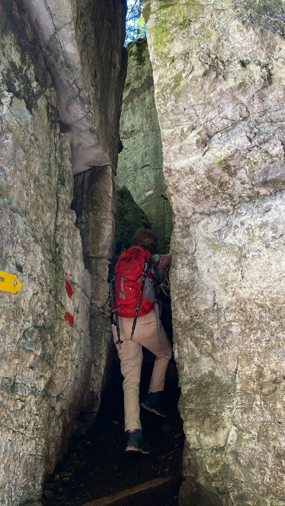 20250830 NF_Wilder Kaiser_Kirsten-68.jpg