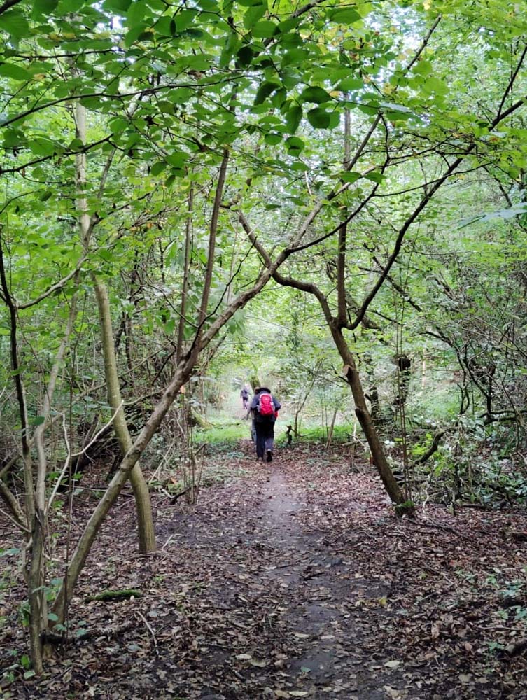 20250928 NF-Pfungstädter Moor_Sabine - 2.jpg