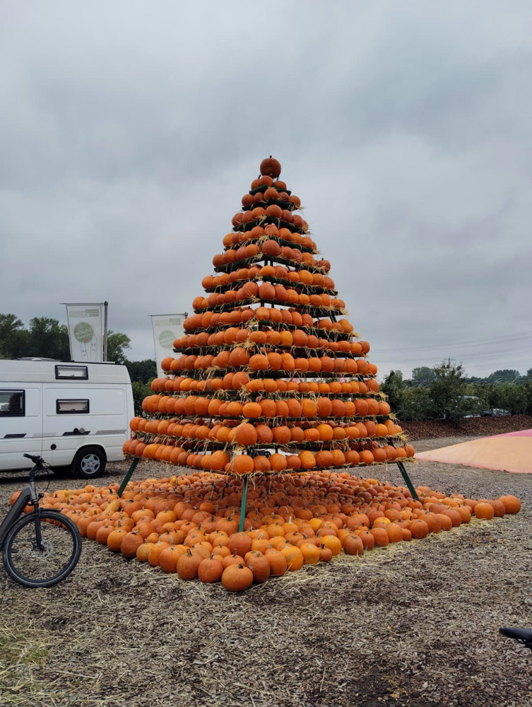 20250928 NF-Pfungstädter Moor_Sabine - 3.jpg